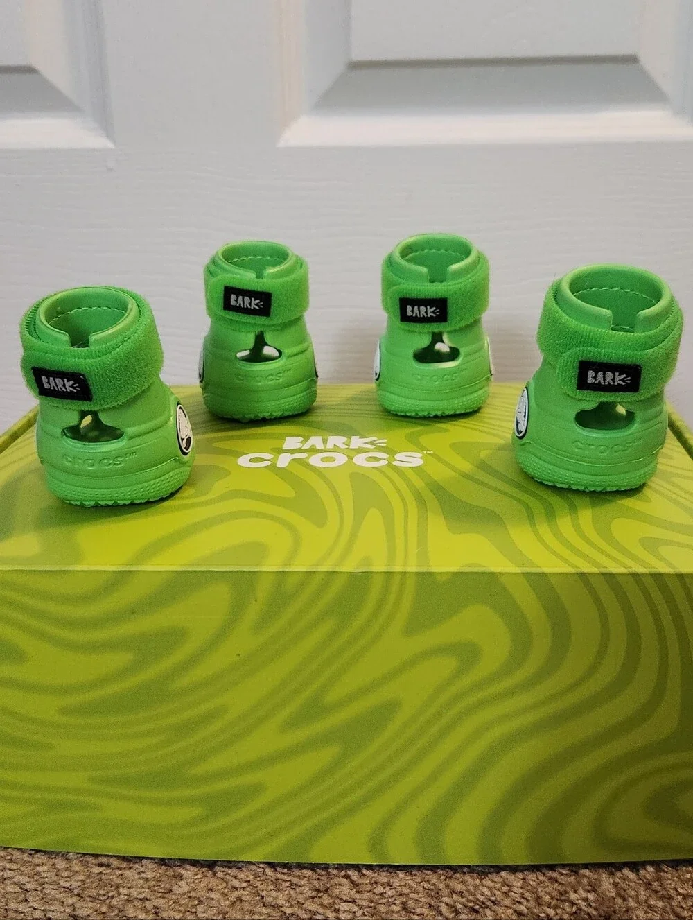 Dog Crocs